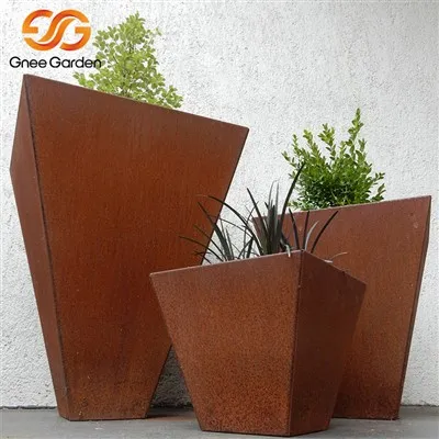 Саджанці Corten Steel