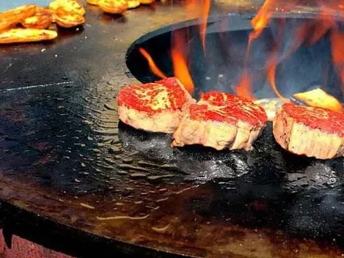 Wood Fired BBQ Grill